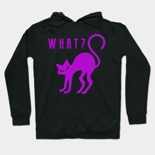 What? Halloween Cat Hoodie